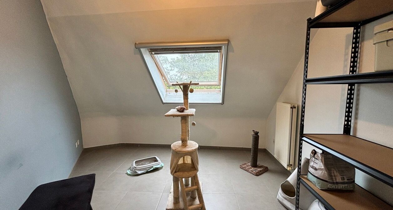 Duplex te huur in Holsbeek