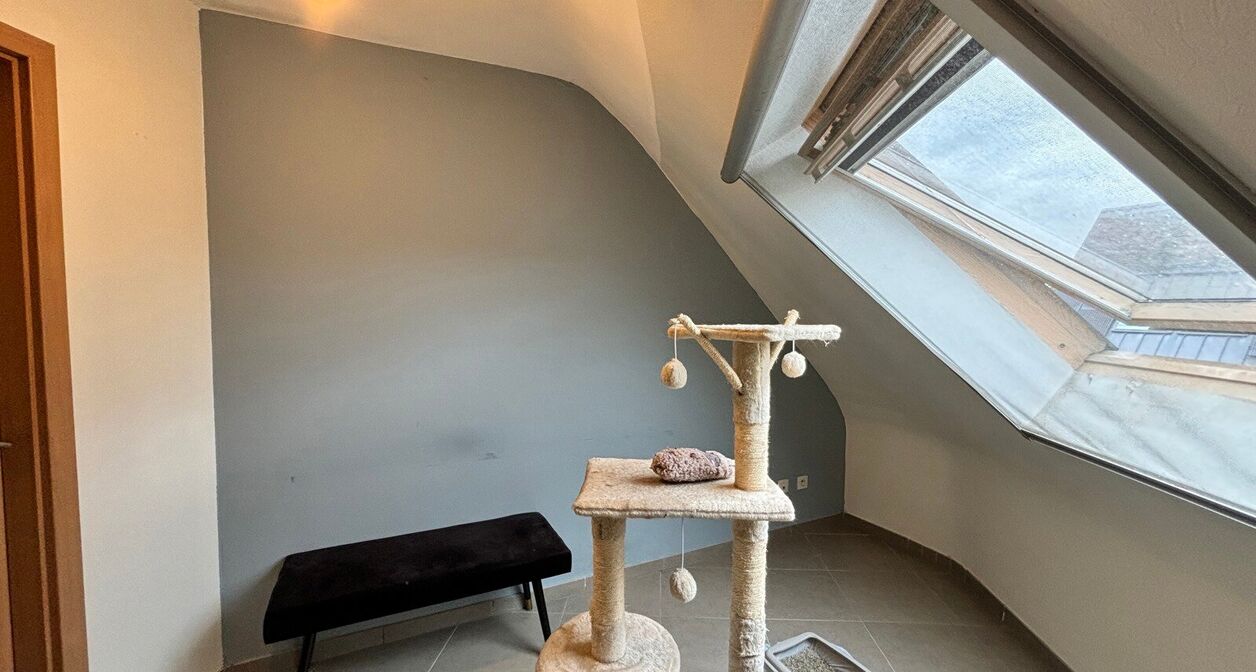 Duplex te huur in Holsbeek
