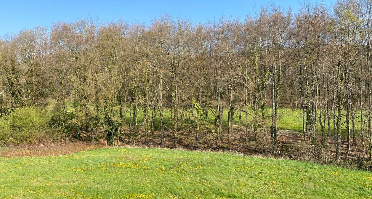 Duplex te huur in Tielt-Winge Sint-Joris-Winge