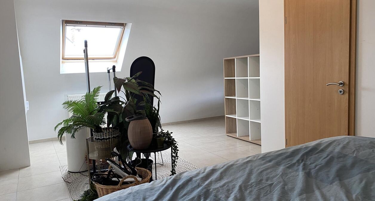 Ruime woning met 5 slaapkamers en tuin